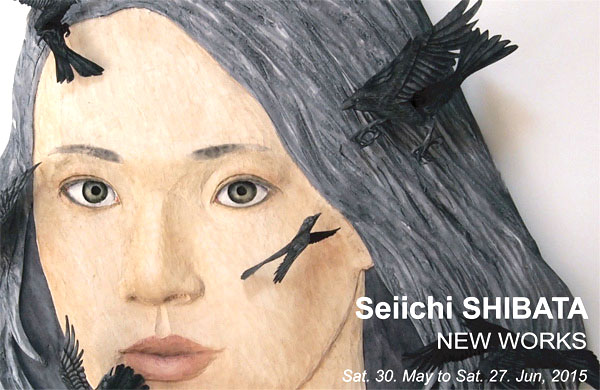Seiichi Shibata “new works”