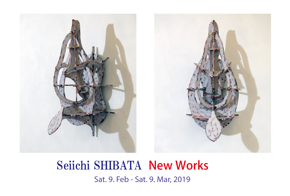 Seiichi SHIBATA Solo Show”New Works”